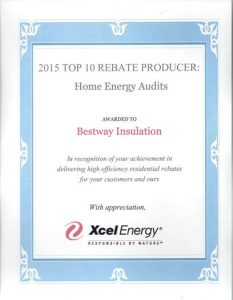 2015 Top 10 Rebate Producer - Home Energy Audits