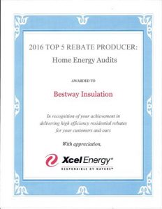 2016 Top 5 Rebate Producer - Home Energy Audits